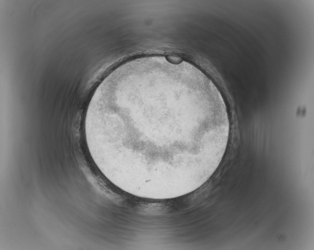 X0000114060058200911161138