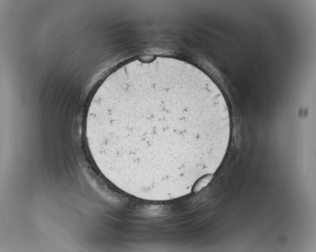 X0000114060059200911161138