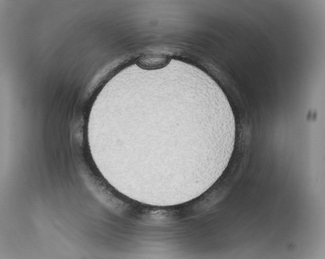 X0000114060064200911161138