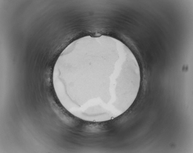 X0000114060065200911161138