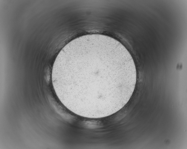 X0000114060069200911161138