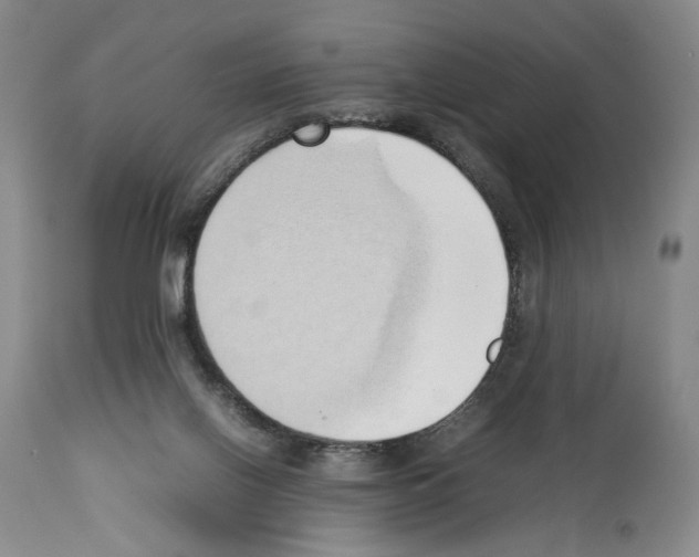 X0000114060070200911161138