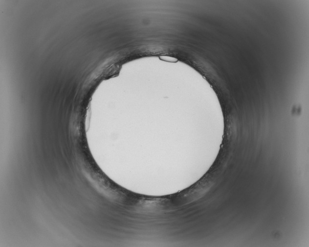 X0000114060072200911161138