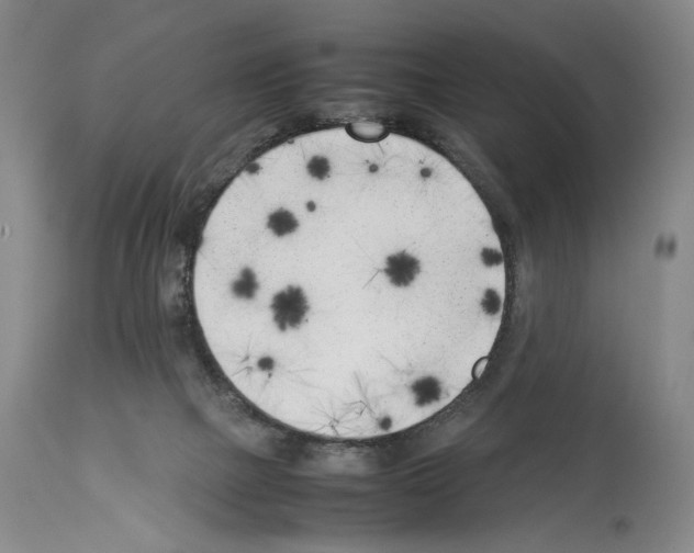 X0000114060073200911161138