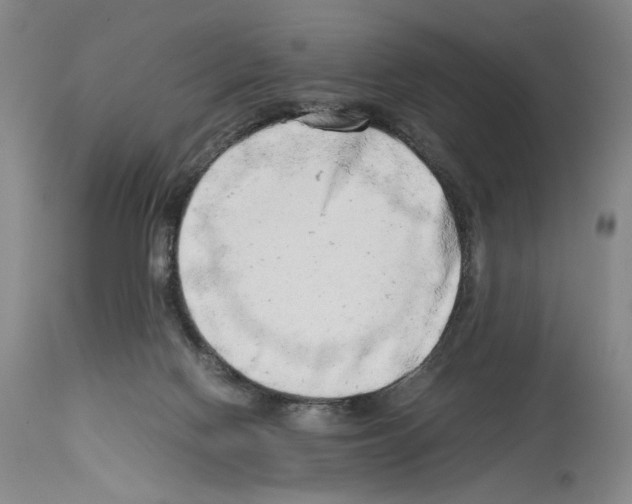 X0000114060074200911161138