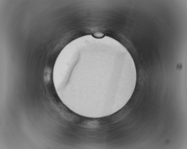 X0000114060075200911161138