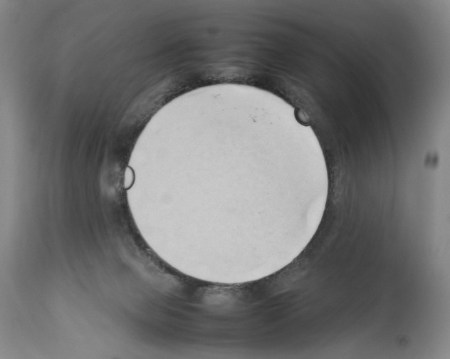 X0000114060077200911161138