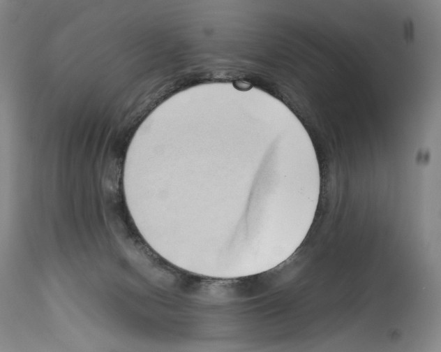 X0000114060078200911161138