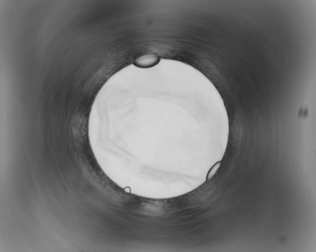 X0000114060079200911161138