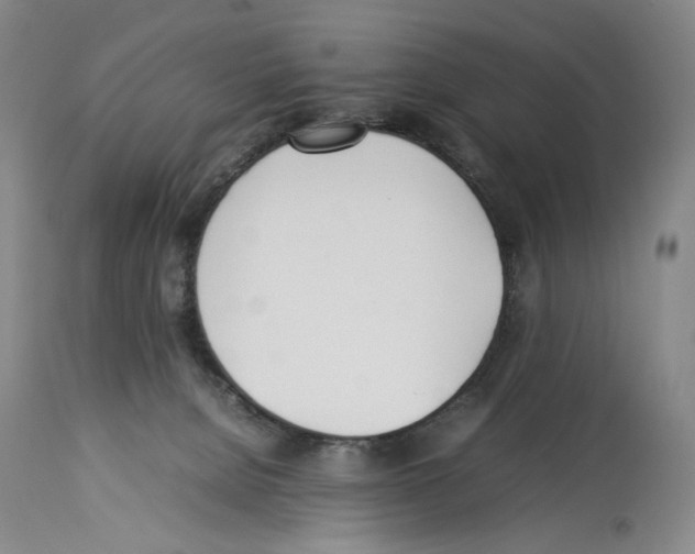 X0000114060080200911161138