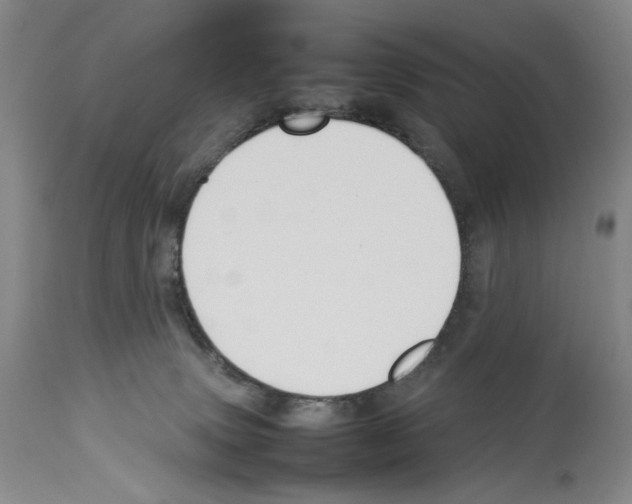 X0000114060083200911161138