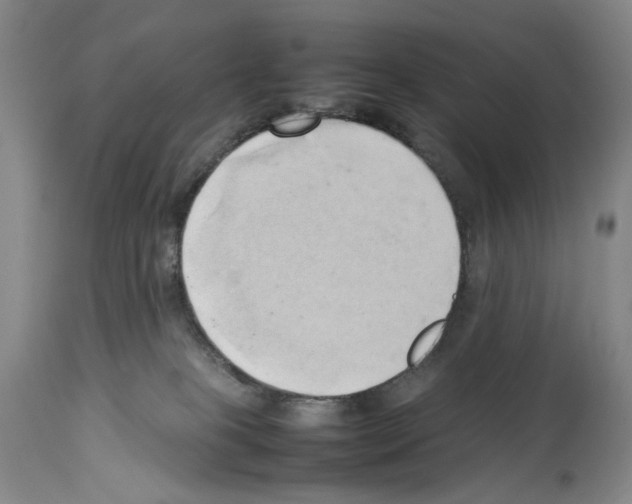 X0000114060085200911161138