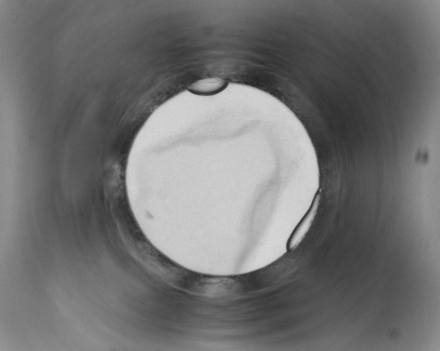 X0000114060087200911161138