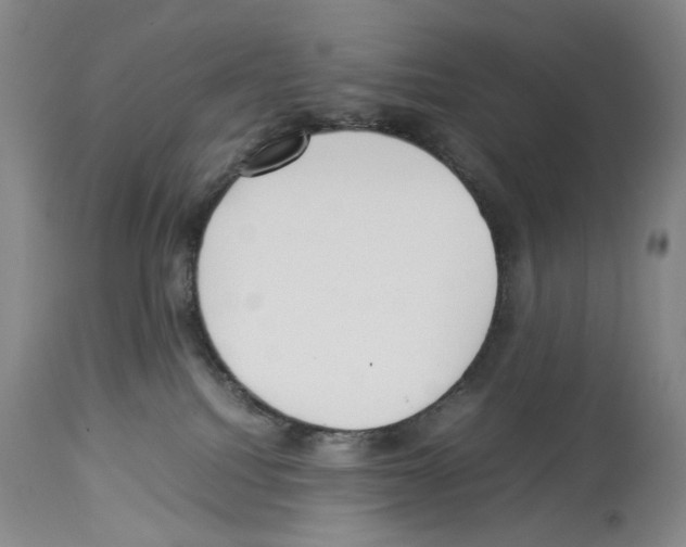 X0000114060088200911161138