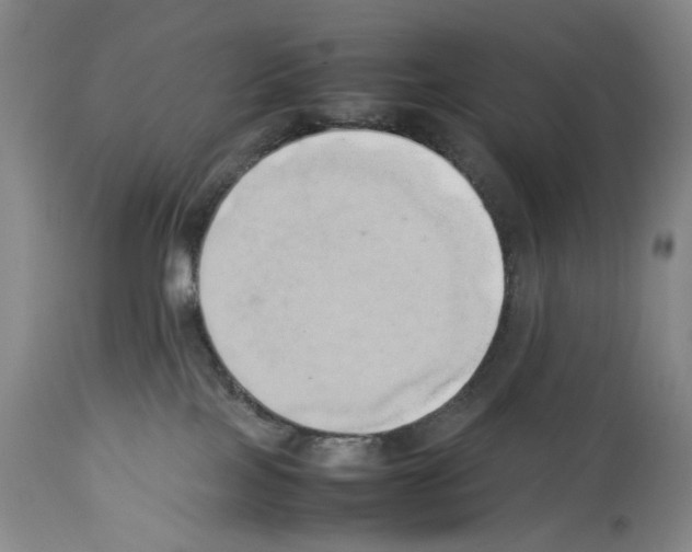 X0000114060089200911161138