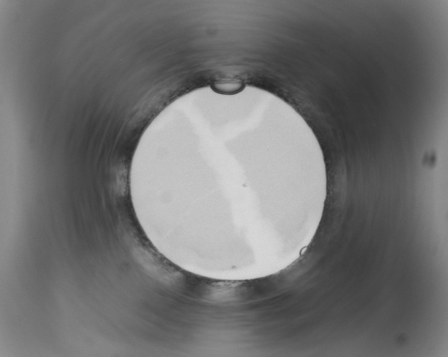 X0000114060090200911161138