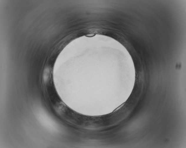 X0000114060095200911161139