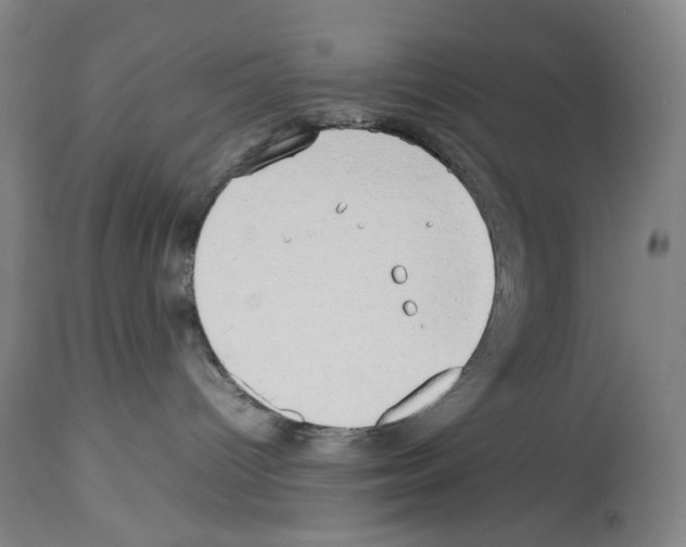 X0000114060096200911161139