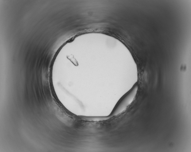 X0000114060100200911161138