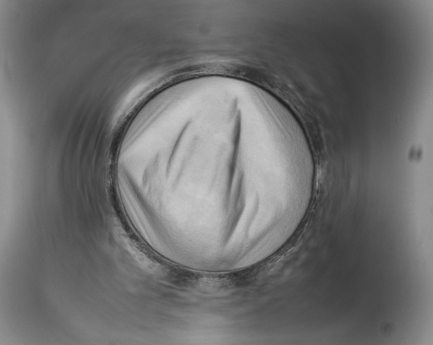 X0000114060101200911161138