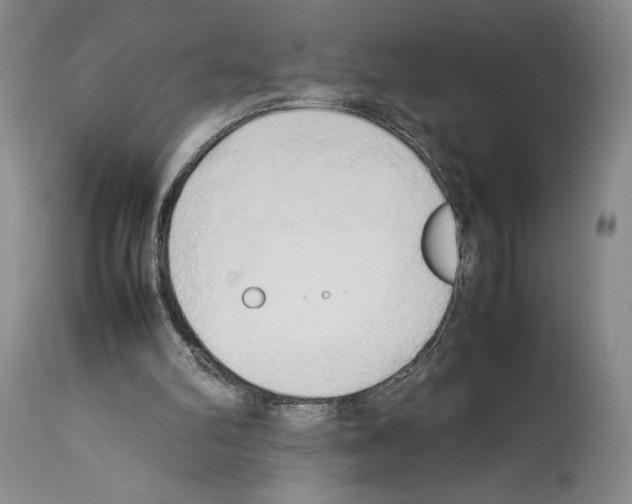 X0000114060102200911161138