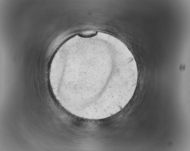 X0000114060103200911161138