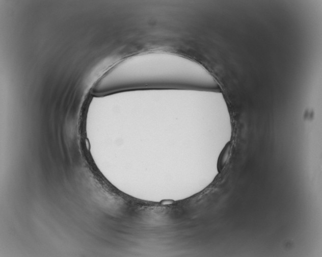 X0000114060104200911161138