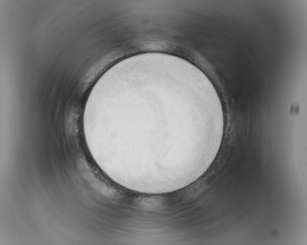 X0000114060106200911161138