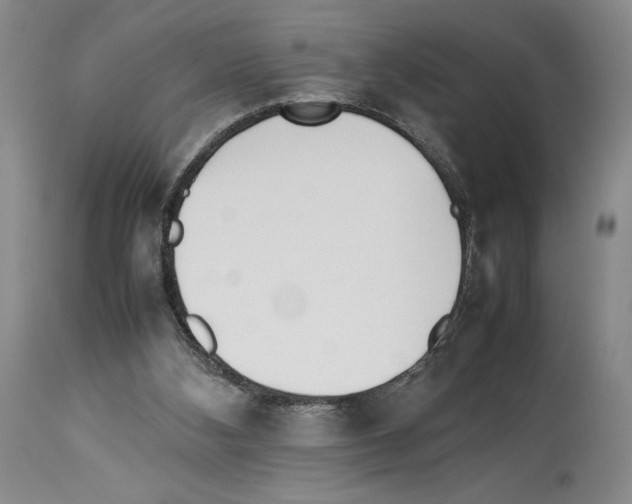 X0000114060108200911161138