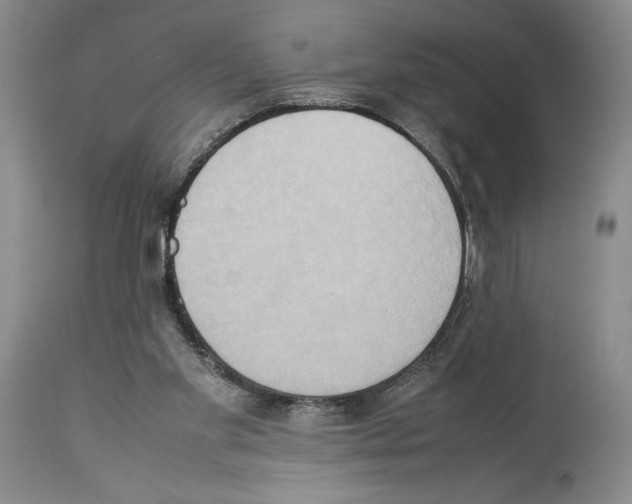 X0000114060109200911161138