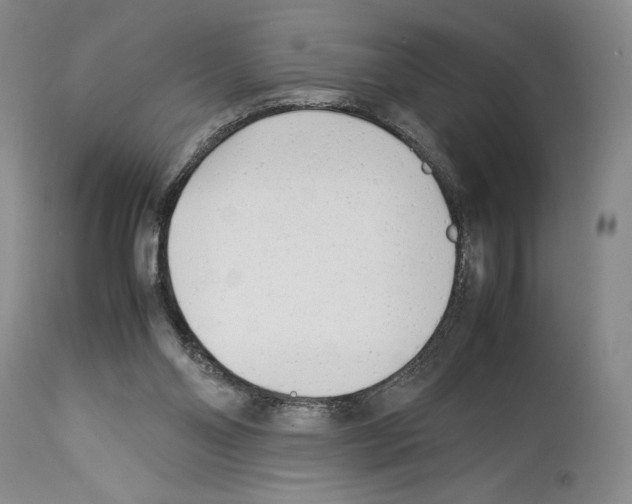 X0000114060110200911161138