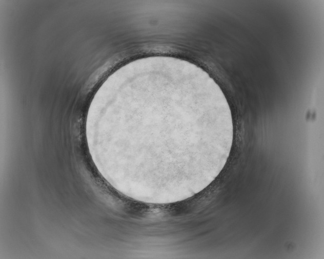 X0000114060111200911161138