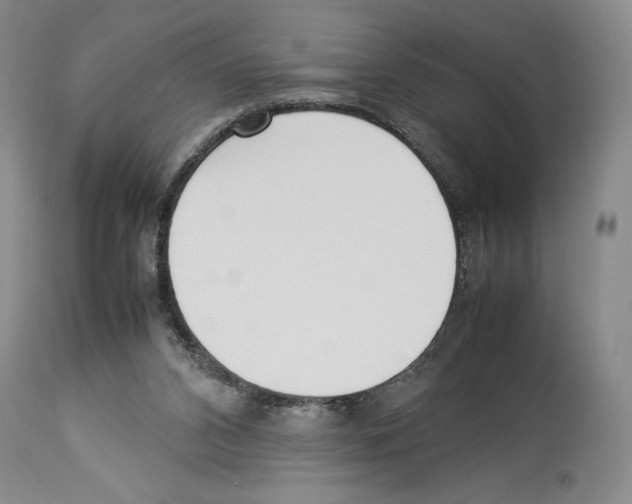 X0000114060112200911161138