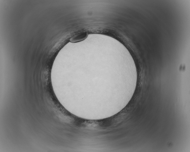 X0000114060113200911161138