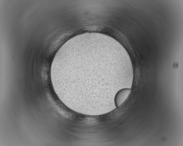 X0000114060114200911161138