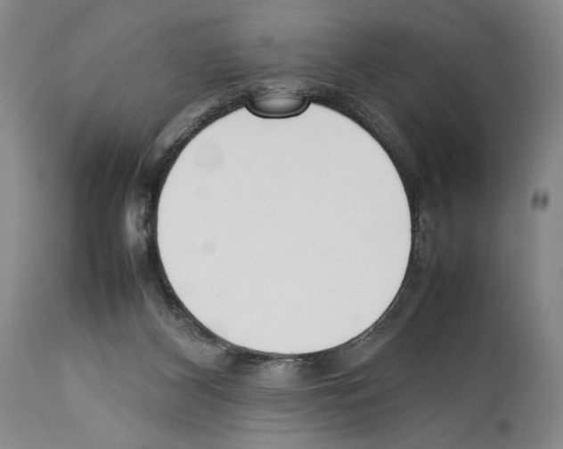 X0000114060116200911161138