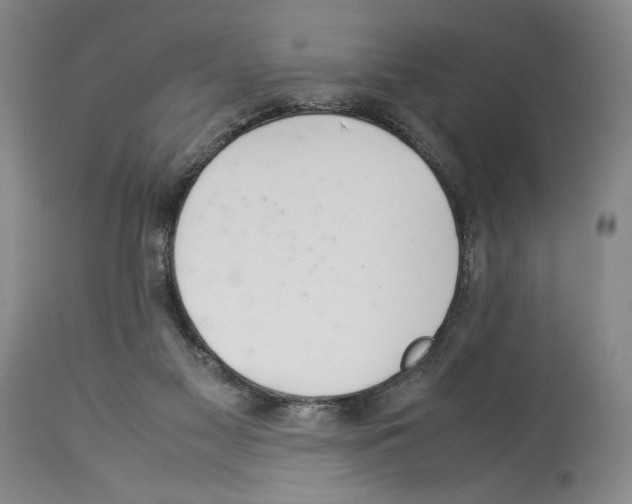 X0000114060117200911161138