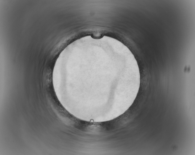 X0000114060119200911161138