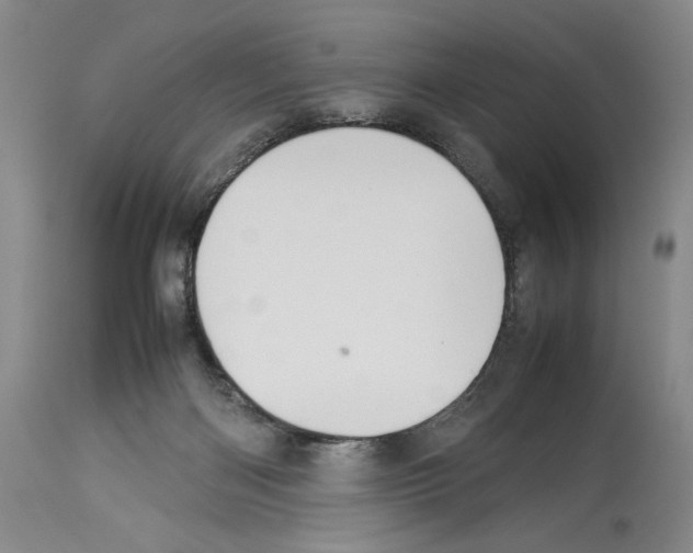 X0000114060122200911161138