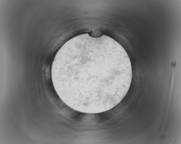 X0000114060123200911161137