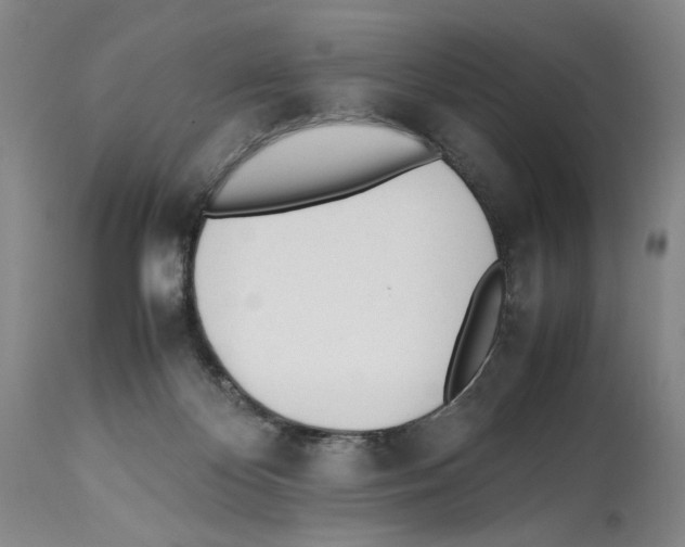 X0000114060124200911161137