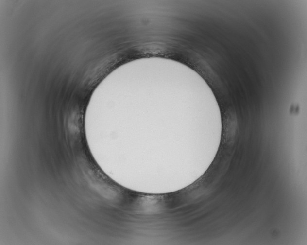 X0000114060126200911161137