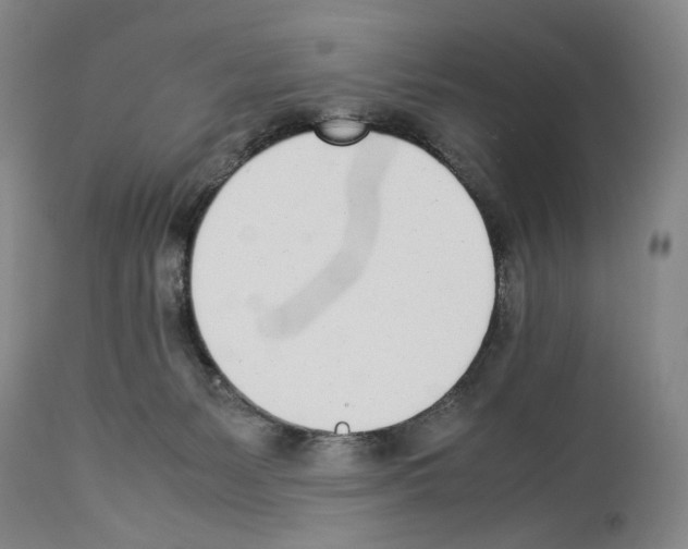 X0000114060127200911161137