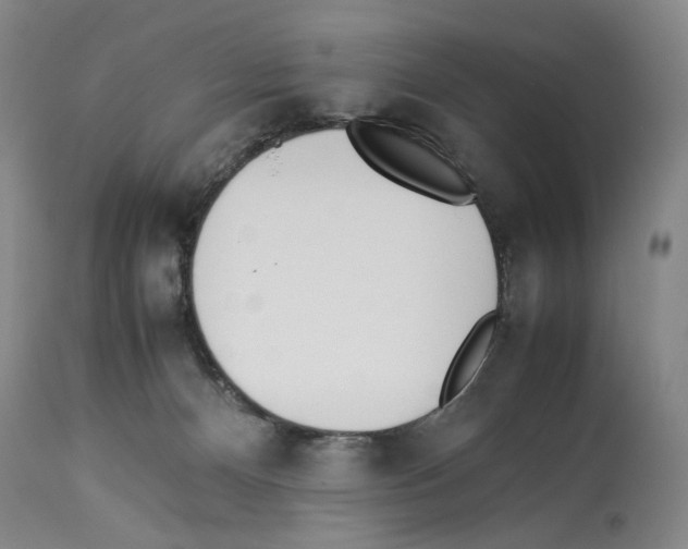 X0000114060128200911161137