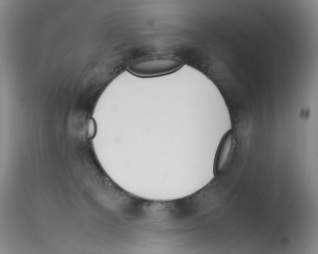 X0000114060129200911161137