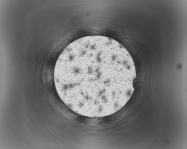 X0000114060131200911161137