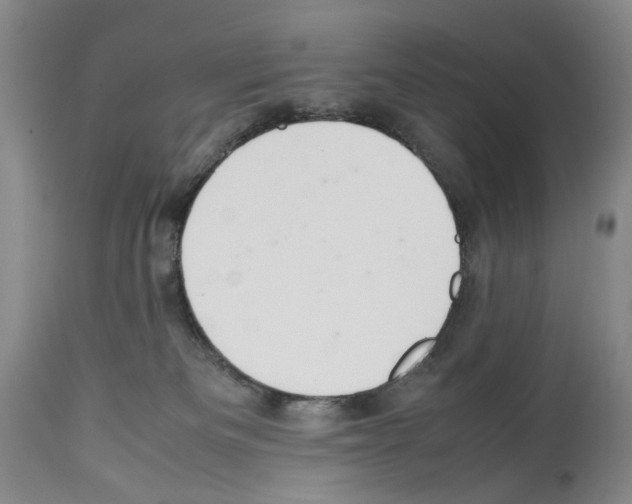 X0000114060133200911161137