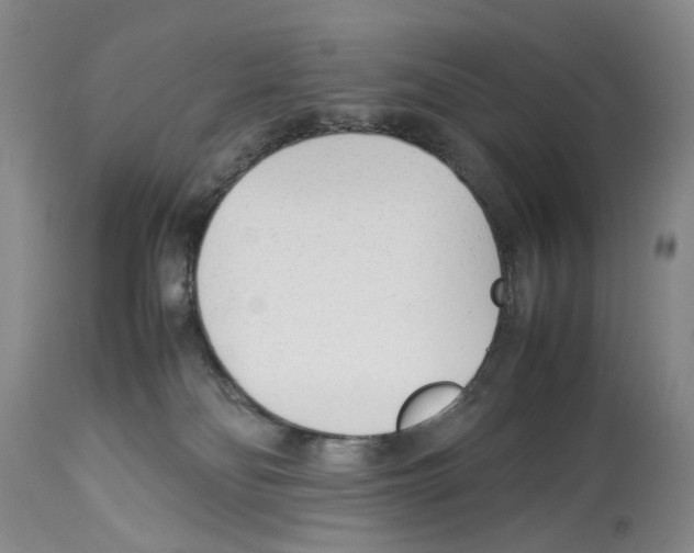 X0000114060134200911161137