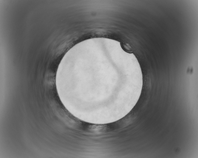 X0000114060135200911161137