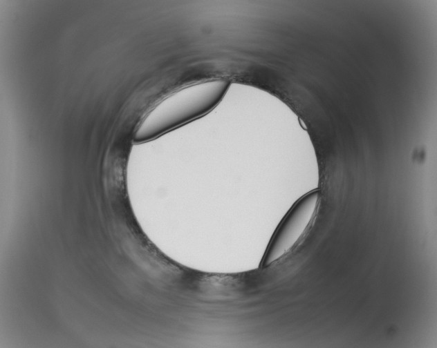 X0000114060137200911161137